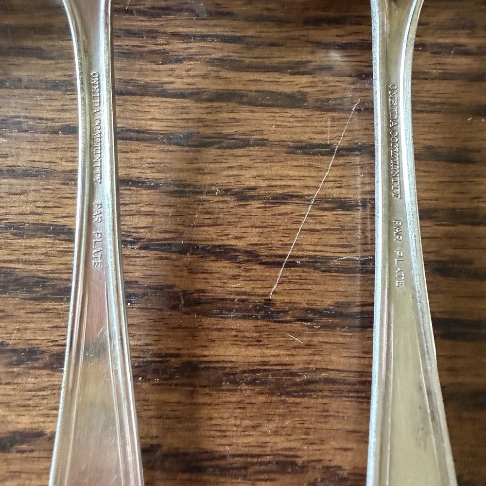 Vtg Oneida Community Bridal Wreath Silver Plate Tablespoon Serving Spoon (5)
